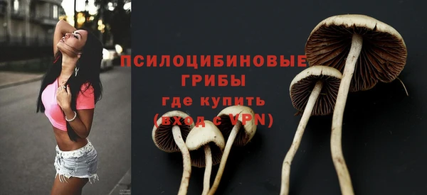 прущая мука Аша