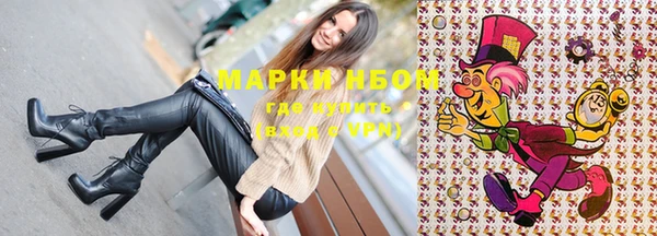 СК Надым